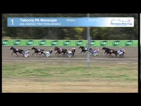 TABCORP PK MENANGLE - 25/08/2015 - Race 1 - AGL ENERGY TROTTERS MOBILE