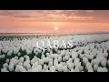 Qabas Sped Up Muhammad Al Muqit