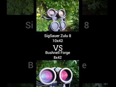 Alpen Teton vs Sig Sauer Zulu8 10x42 🔭 | Binoculars Showdown #shorts