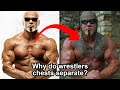 100 WWE Facts You Didn T Know 40 Minutes