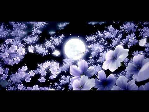 *FREE*JABO x MARCO-9 x MAYOT x BLAGO WHITE - FLOWERS