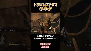 ドグマ小ネタ、編集中困った事４選【Dragon's Dogma: Dark Arisen(ドラゴンズドグマ ダークアリズン)】【ゆっくり実況】#ゲーム実況 #shorts  #games