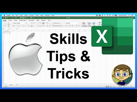 The Beginner s Guide to Excel Excel Basics Tutorial