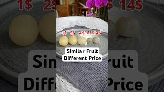 Download lagu Mengapa Saya Harus Membayar Harga Berbeda untuk Jenis Buah yang Sama. #Leci #Rambutan #Pulasan #K... mp3 Download lagu Mengapa Saya Harus Membayar Harga Berbeda untuk Jenis Buah yang Sama. #Leci #Rambutan #Pulasan #K... mp3