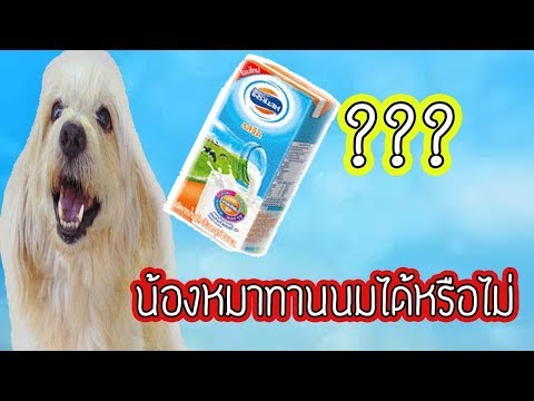 ผักสีแดงในโรคสะเก็ดเงิน พรากรูปภาพผิวหนังกลาก