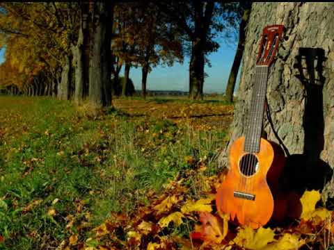 Agron Bulku Ne befotrof u rritem ne