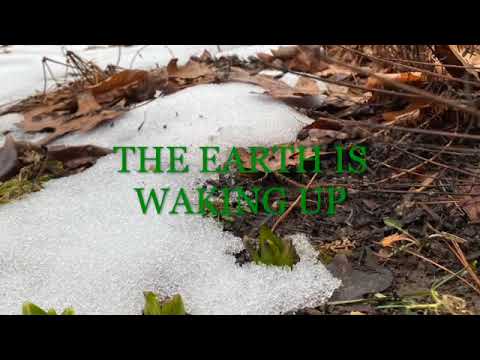 Keep the Earth Clean   SD 480p