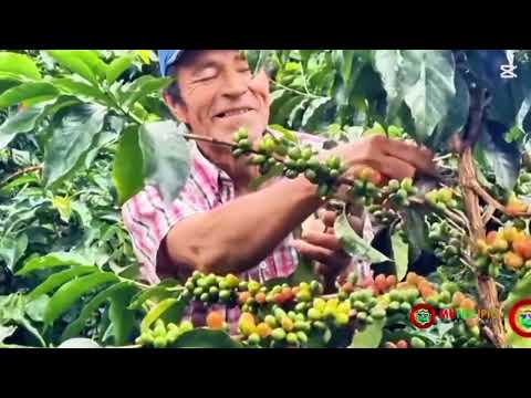 SAN EDUARDO, LLEGÓ EL MOMENTO DE DECIDIR NUESTRO FUTURO