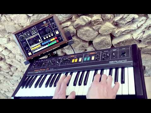Roland RS-09 MKII string and organ synth