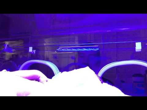 "Happy Birthday," in the NICU