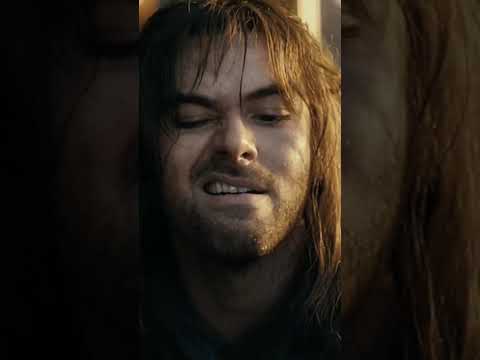 Fili and Kili#hobbit#fili#kili