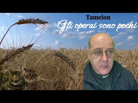 Commento 14 febbraio 2023