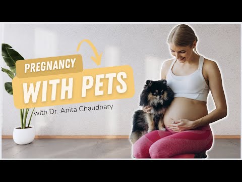 Pregnancy With Pets | What All You Need To Take Care | Dr. Anita Chaudhary