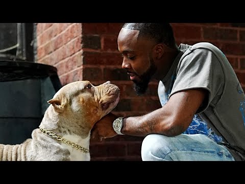 Mack Millz - Midget Fox (Remix) (Official Video Shot By @DirectedbyArt_)