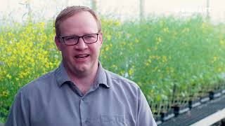 Brevant - Clubroot Q&A Video