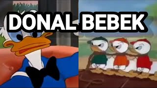 Download lagu Dongeng animasi Kartun anak indonesia  donal bebek mp3