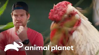 Thumbnail del capítulo