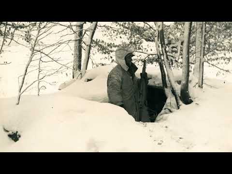 Operation Nordwind | The Final German Gamble in the West