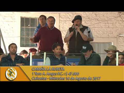 16-08-17 Venta de Toros PC - La Rubeta - Cañuelas