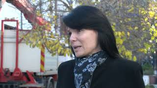 Започна поставянето на Коледната украса в Хасково