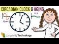 Circadian Rhythms And Aging