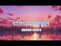 Bagichay Bulbuli Slowed Reverb Cokestudio Ritu Raj KATPAS 1