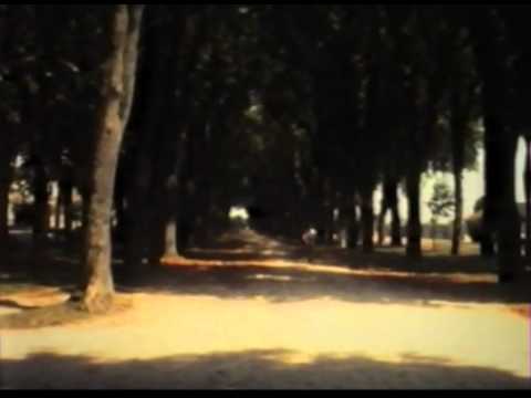 Itinéraires héréditaires (1995) by Gérard Courant