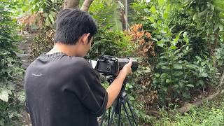 🍃 Relaxing Piano & Birdsongs | Behind The Scenes Video