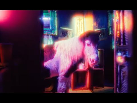 Video thumbnail for Let’s Start Degeneracy