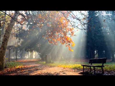 BT ft. Sarah McLachlan - Dreaming (DJ Tiësto Mix)