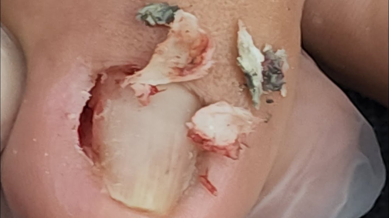 YouTube Thumbnail Downloader FULL HQ IMAGE