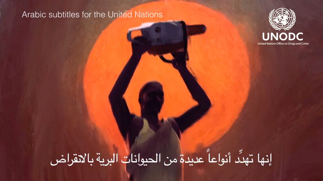 Arabic subtitling services