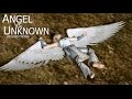 Angel VS Unknown KO Ending
