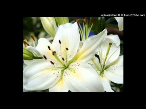 Today's Tango Is... Todo - Carlos Di Sarli c. Roberto Rufino 04-11-1943