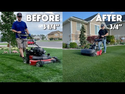 TALL GRASS TO SHORT GRASS - How I Made The Change