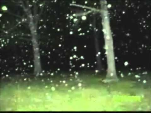 Ghosts, poltergeists, and Demons Season 2: Episode 1