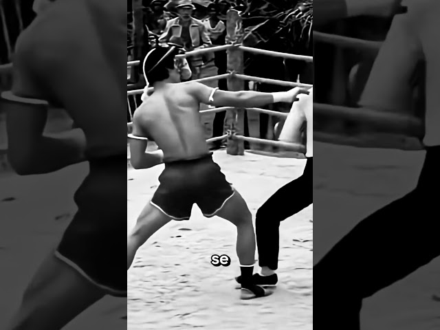 Vídeo relacionado con Kung Fu Cat Hanbo Eskrima Kungfu Kali Kitten Artes Marciales Camiseta