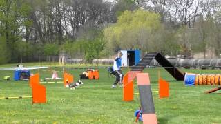 Agility Ostrava-Třebovice 20.4.2014