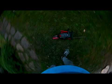 stihl ms 231 VS Solo by AL-KO 6656