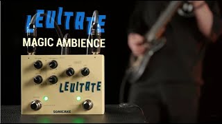 Video thumbnail for Sonicake Levitate | Degital Delay Plate Reverb 2 effecs in 1 Guitar Pedal by SONICAKE
