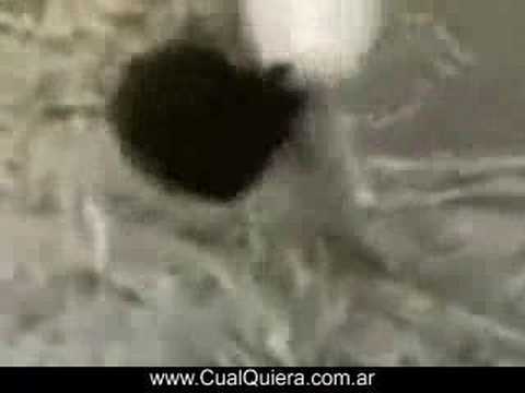 La oveja mostruosa