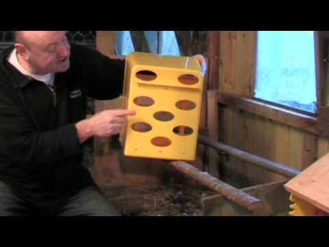 Bec injection moulded chick box