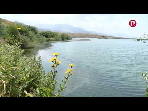 Zor bulağın zümzüməsi - 17.08.2024