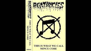 Agathocles - This Is What We Call Mincecore (2013) grindcore mincecore punk goregrind grind hardcore