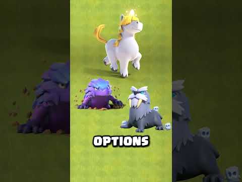 Best Hero Pet Combinations That Will DOMINATE in 2025!