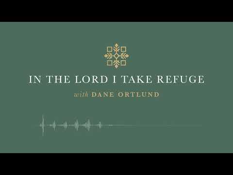 In the Lord I Take Refuge: Psalm 125 - The Lord Surrounds His People