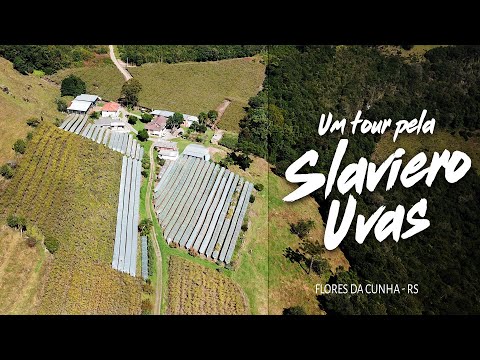, title : 'Um tour pelo Slaviero Uvas em Flores da Cunha (RS)'
