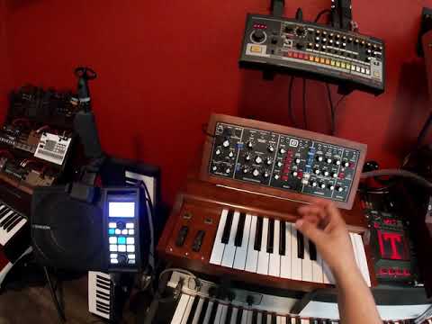 Custom 25 Note Keybed & Enclosure for Behringer Model D 2019 Walnut image 8
