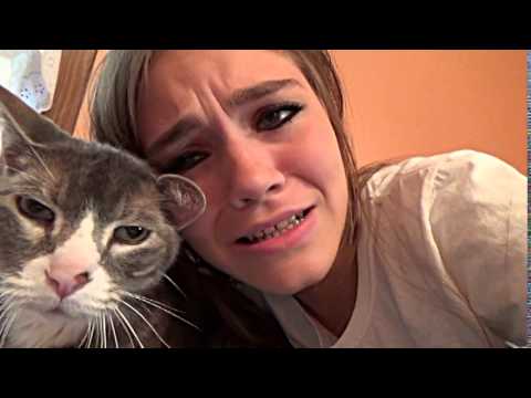 Can't Hug Every Cat Lip Sync Music Video