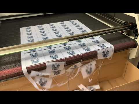 Using Two Laser Guns to Cut Mini Flags, or ANYTHING!